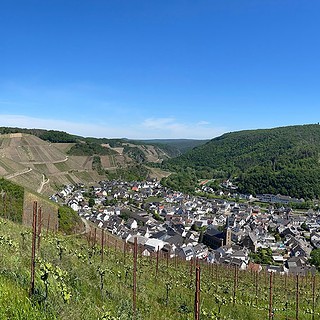 Ausblick auf Dernau von den Weinreben