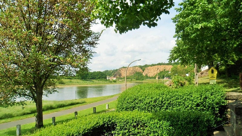 Blick auf einen sächsischen Weinberg