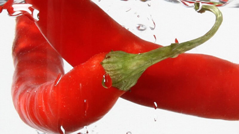 Nahaufnahme Chilli Fotografie Tageskurs in Chemnitz