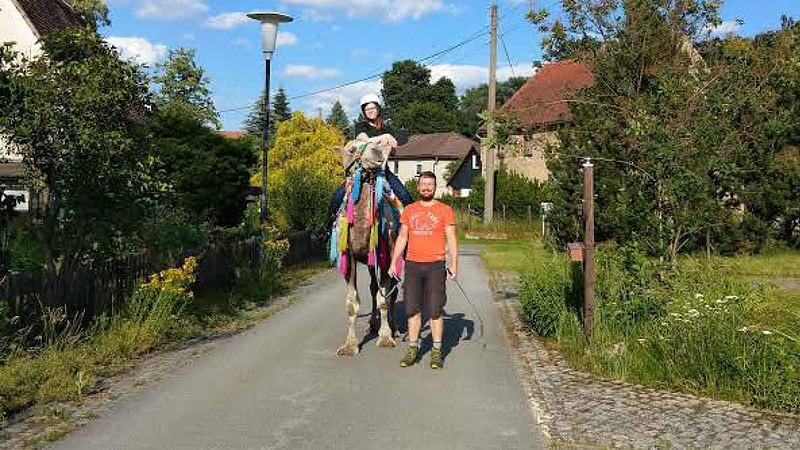Eine Person auf einem Kamel, die andere Person führt das Kamel-Kamelreiten bei Görlitz