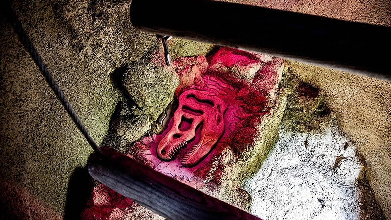 Dinofossil im Stein während des Klettererlebnis bei Berlin Bergwelt