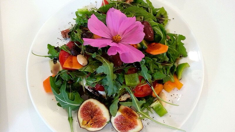 Teller mit Salat angerichtet zum Kochkurs in Dresden