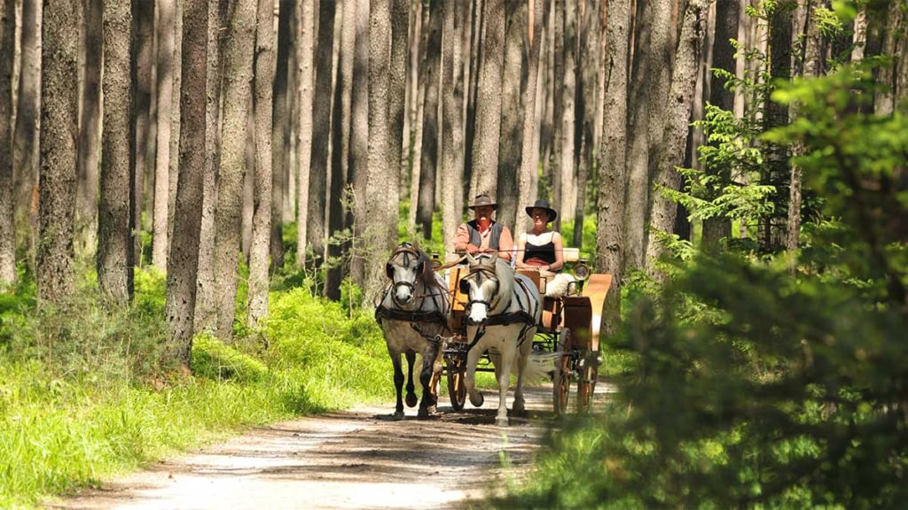 Ein Mann und eine Frau fahren mit einer Kutsche im Erzgebirge.