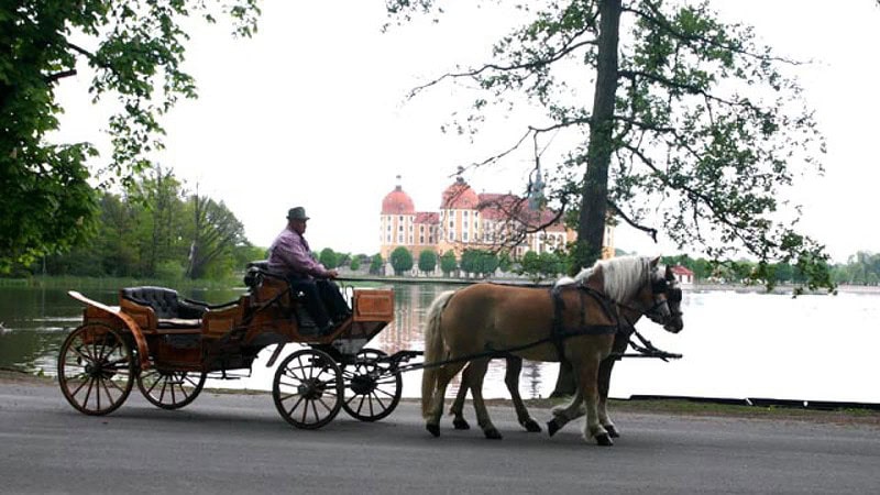 Kutsche vor dem Schloss Moritzburg macht eine Kutschfahrt