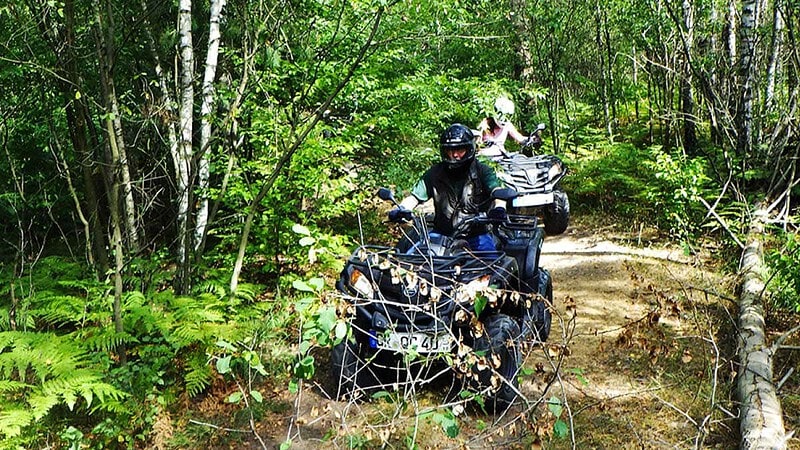 Quad fährt durch den Wald bei einer Abenteuertour.