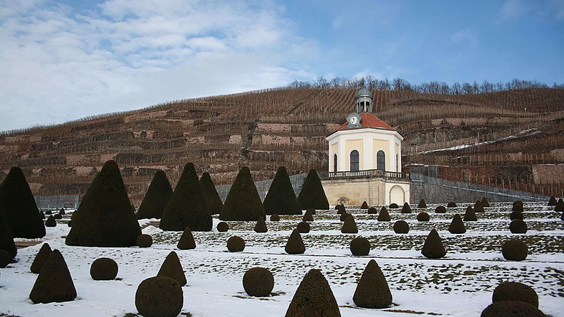 Weinberge Schloß Wackerbarth Stadtspiel (Ver-) Führung Radebeul