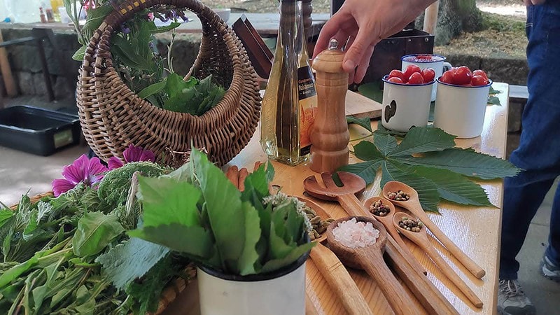 Tisch mit verschiedenem Gemüse und Kräutern.