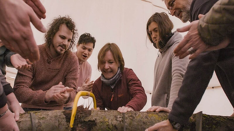 Fünf Männer zersägen einen Baumstumpf.