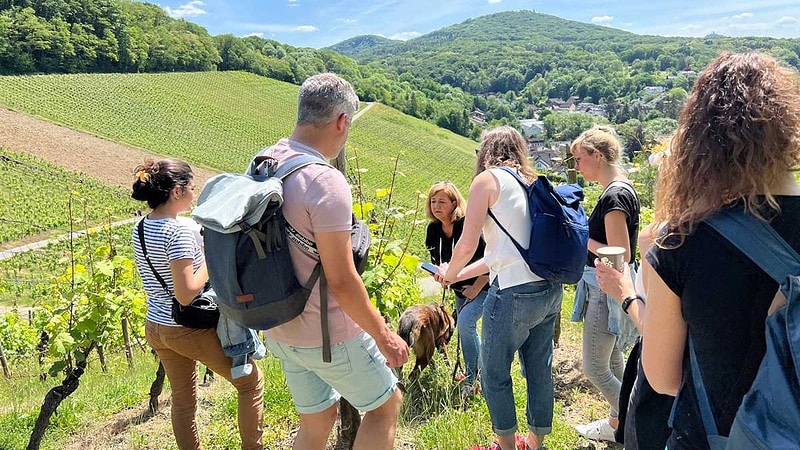 Gruppe bei Weinwanderung am Mittelrhein.