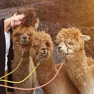 Eine Frau wandert und kuschelt mit 3 Alpakas