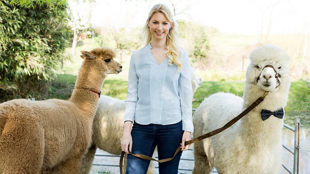 Ein Frau geht mit 2 süßen Alpakas wandern