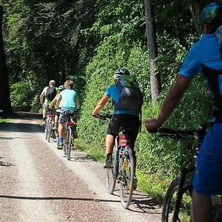 Gruppe von Menschen fahren Fahrrad durch Waldstück