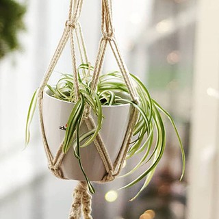 eine Blumenampel beim Makramee Workshop in Dresden