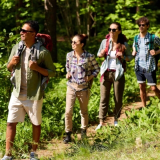 gefuehrte-wanderungen-erlebnisse 4 Freunde wandern zusammen durch einen Wald