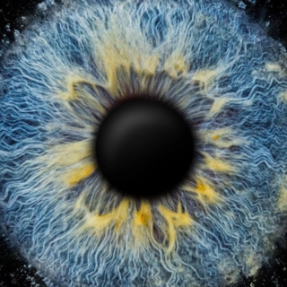 Bild von einer bunten Iris auf dunklem Hintergrund