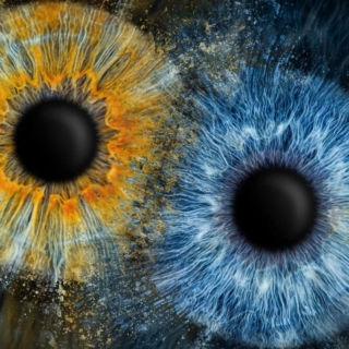 iris_fotoshooting_doppelfoto_web-11.jpeg 2 Iriden auf einem dunklen Hintergrund