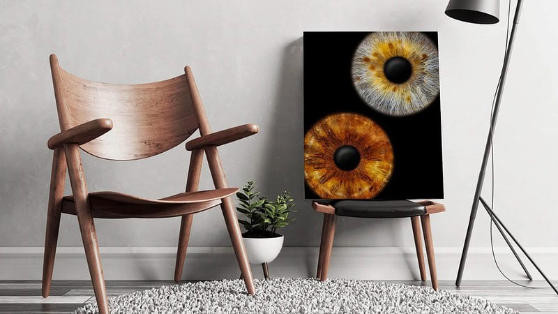 Ein Bild mit 2 Iriden, das auf einem Stuhl im Wohnzimmer steht