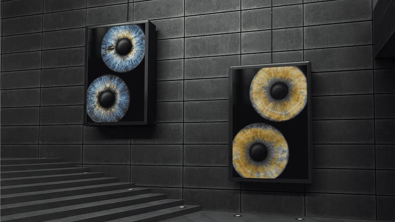 Eine Vorschau wie sich 2 Iriden auf einem Bild an der Wand präsentieren