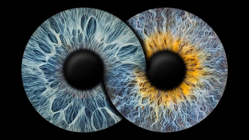 2 Iriden in Form des Unendlichkeitszeichens