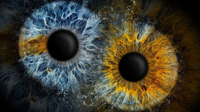 die beiden Iriden stoßen zusammen und erzeugen einen einzigartigen Effekt