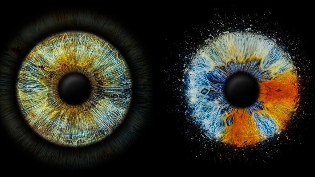 iris_fotoshooting_einzelfoto_web-3.jpeg Ein Bild von 2 Iriden nebeneinander