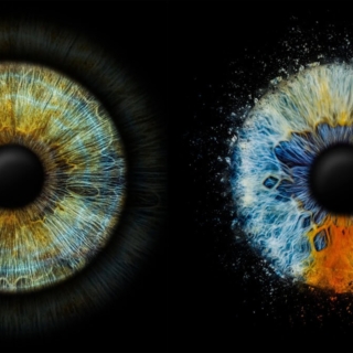 iris_fotoshooting_einzelfoto_web-3.jpeg Ein Bild von 2 Iriden nebeneinander