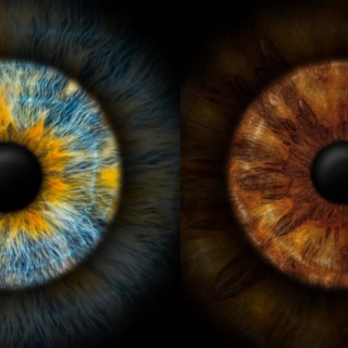 Ein Bild von 2 Iriden nebeneinander