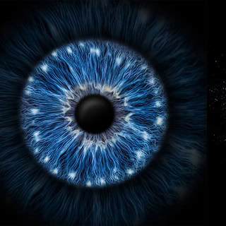 Ein Bild von 2 Iriden nebeneinander