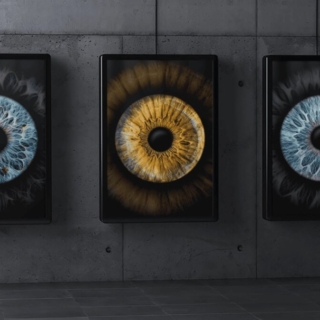 3 Bilder von 3 Iriden hängen an einer Wand