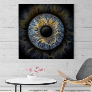 Ein Bild von einer Iris hängt an der Wand