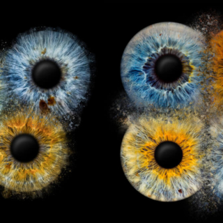 digitale Vorschau von 3 Iriden (links) und 4 Iriden (rechts) in verschiedenen Farben