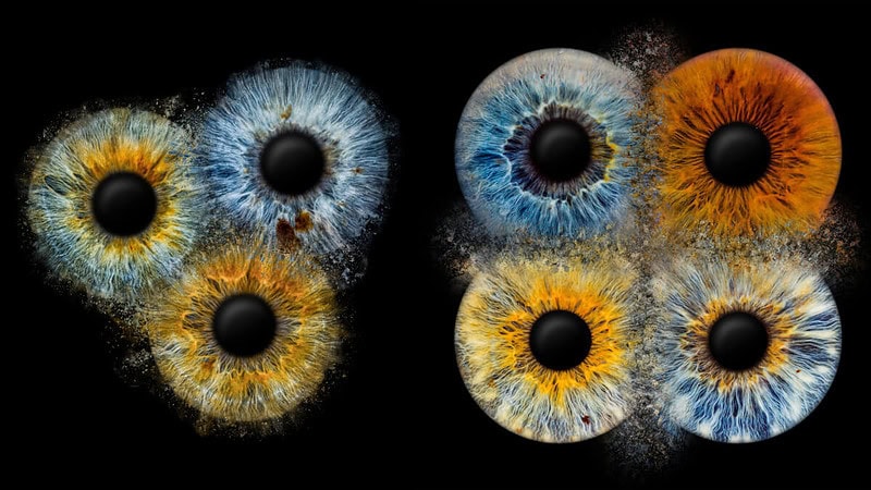 digitale Vorschau von 3 Iriden (links) und 4 Iriden (rechts) in verschiedenen Farben