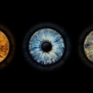 digitale Vorschau von 3 Iriden in verschiedenen Farben