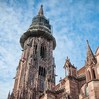 Blick auf das Freiburger Münster