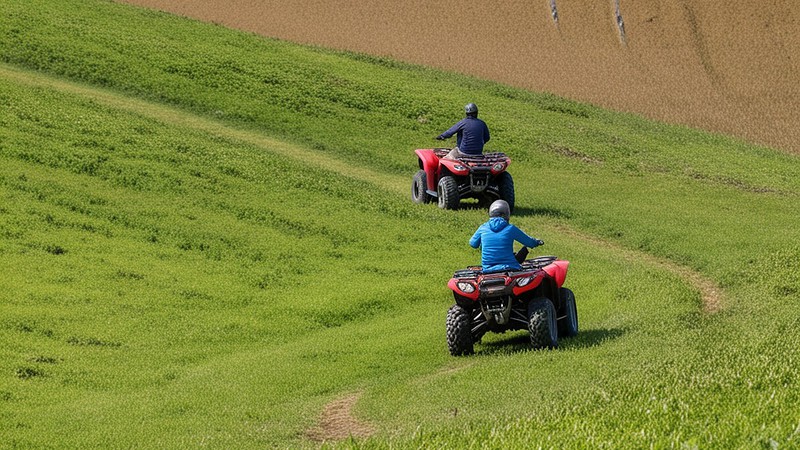 Zwei Quadfahrer auf Wiesenweg