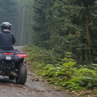 Quadtour-Breisgau-Wald Ein Quad-Fahrer fährt im Breisgau einen Hügel im Wald hoch