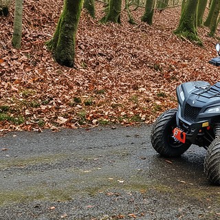 Quadtour-Breisgau-schwarzes Quad Ein Quad-Fahrer fährt eine Offroad Straße im Breisgau entlang