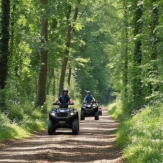 Quadtour-Parchim-zwei fahren durch den Wald Zwei Quadfahrer fahren durch den Wald