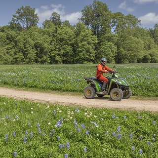 Quadtour-Siegen-Quadfahrer zwischen Blumenwiese Ein Quadfahrer zwischen zwei großen Blumenwiesen