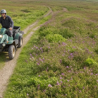 Mann fährt auf grünem Quad auf einem Feldweg