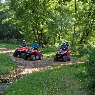 Quadtour-Trier-3 Quads stehend im Wald 3 rote Quads stehen im Wald auf Waldweg
