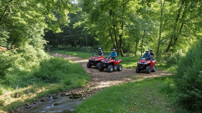 3 rote Quads stehen im Wald auf Waldweg