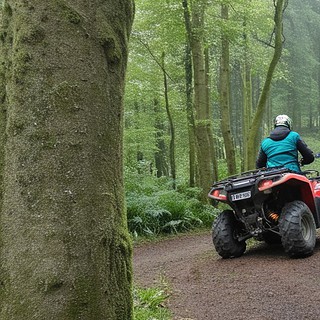 Quadtour-Vulkaneifel-auf Waldweg Quad Fahrer im Wald auf Waldweg