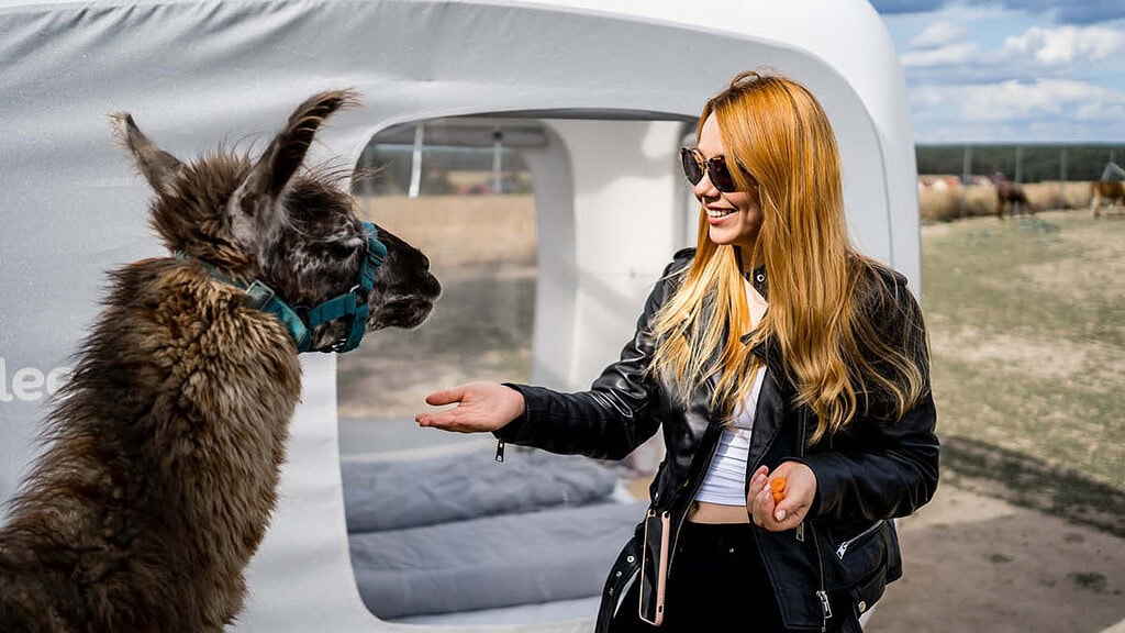 uebernachtung-alpakafarm-Frau füttert Alkapa Eine Frau hält ihre Hand einem Alpaka hin, während sie vor dem Sleep Cube stehen.