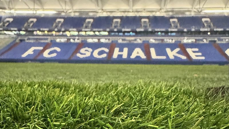 Nahaufnahme vom Rasen in der Schalke Arena