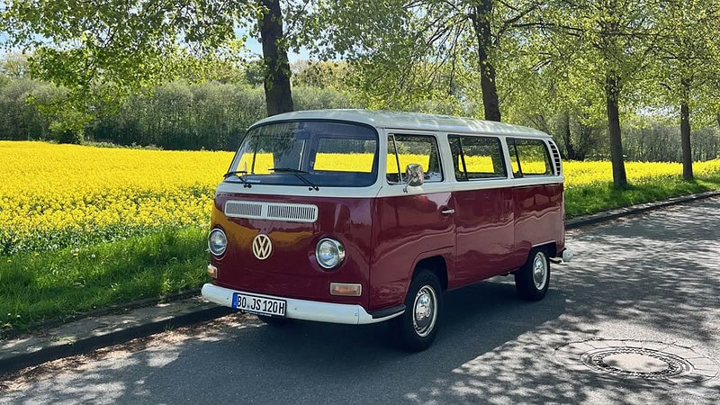 VW Bulli fährt eine Allee entlang neben einem Rapsfeld.