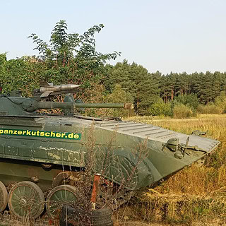 Panzer der im Gebüsch steht