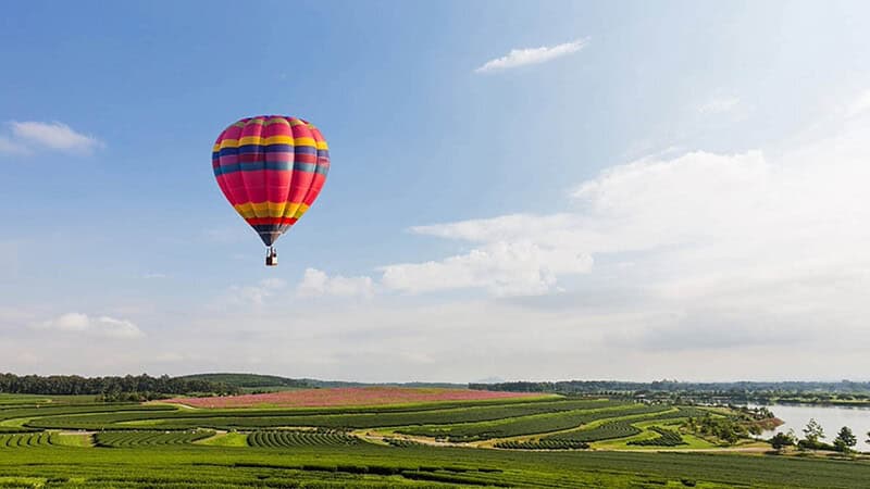 Bunter Ballon im blauen bewölkten Himmel über Grünland mit Blumen Feld- Ballonfahrt- Landschaft mit Ballon