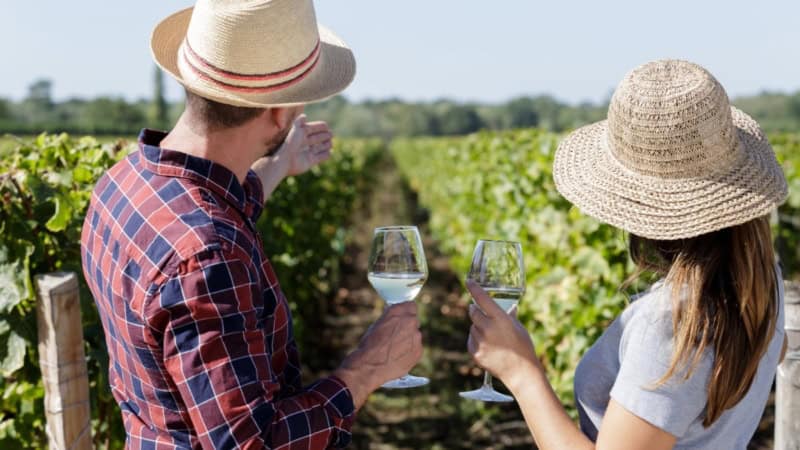 Zwei Personen schauen sich die weite der Weinreben an und verkosten währenddessen einen Wein.
