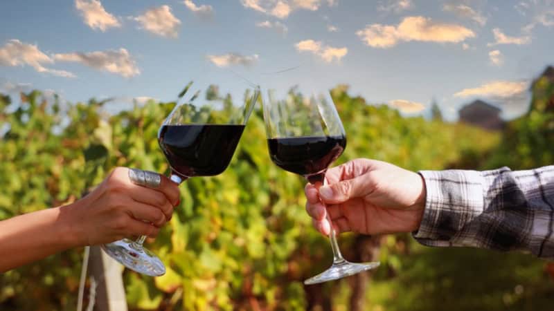 Zwei Personen stoßen mit Rotwein an - Weinwanderung.